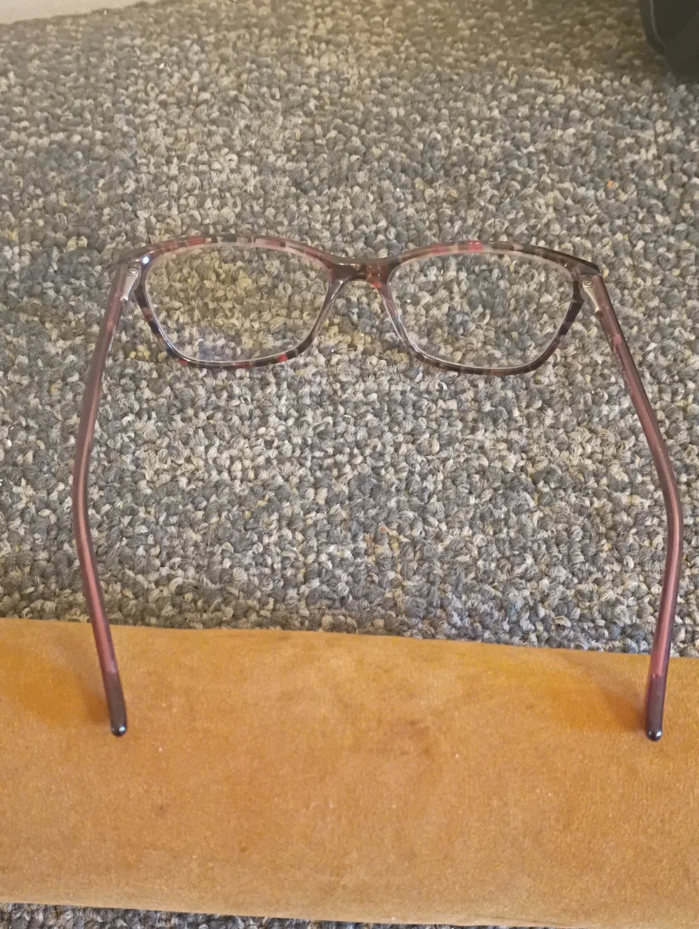 Bloom optics Cat-Eye Burgundy Glasses Frames Only.